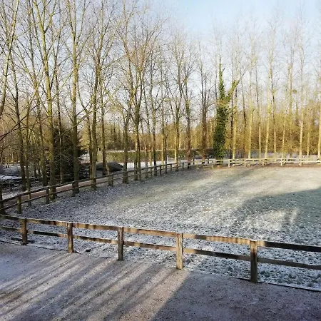 Peaceful Holiday Near With Pool Holiday home Quend